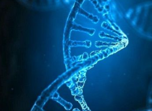 dna
